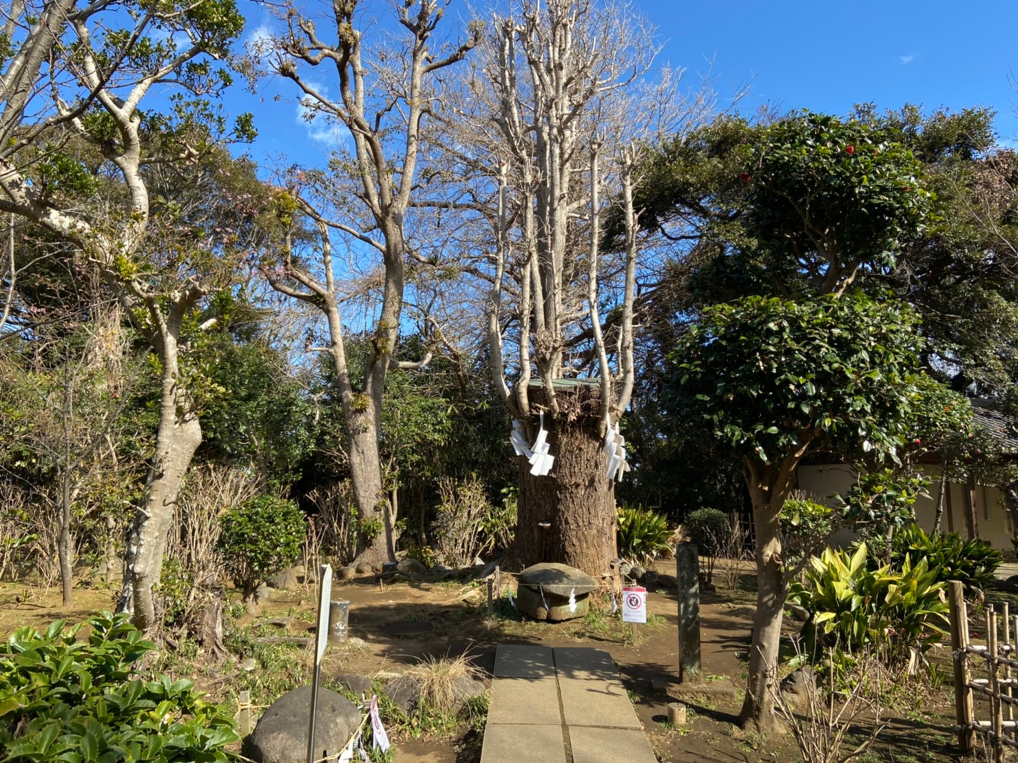 江島神社奥津宮