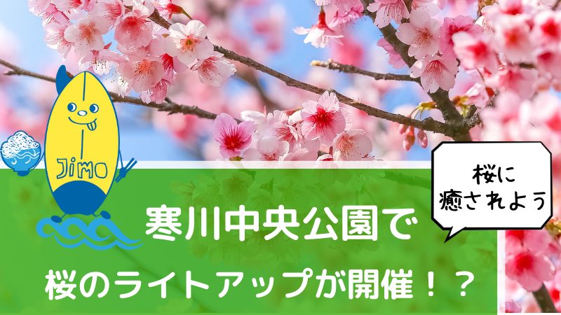 21年 寒川中央公園の桜が4月3日 4日にライトアップされます Jimohack湘南 茅ヶ崎 藤沢 江ノ島 平塚など