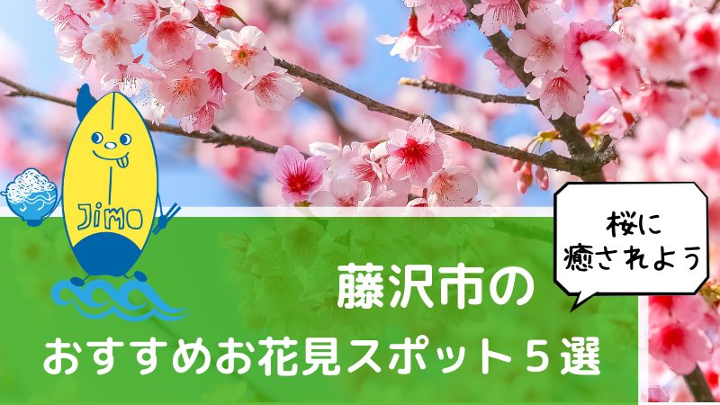 22年版 藤沢市の桜の名所5選 開花時期と見頃も紹介 Jimohack湘南 茅ヶ崎 藤沢 江ノ島 平塚など