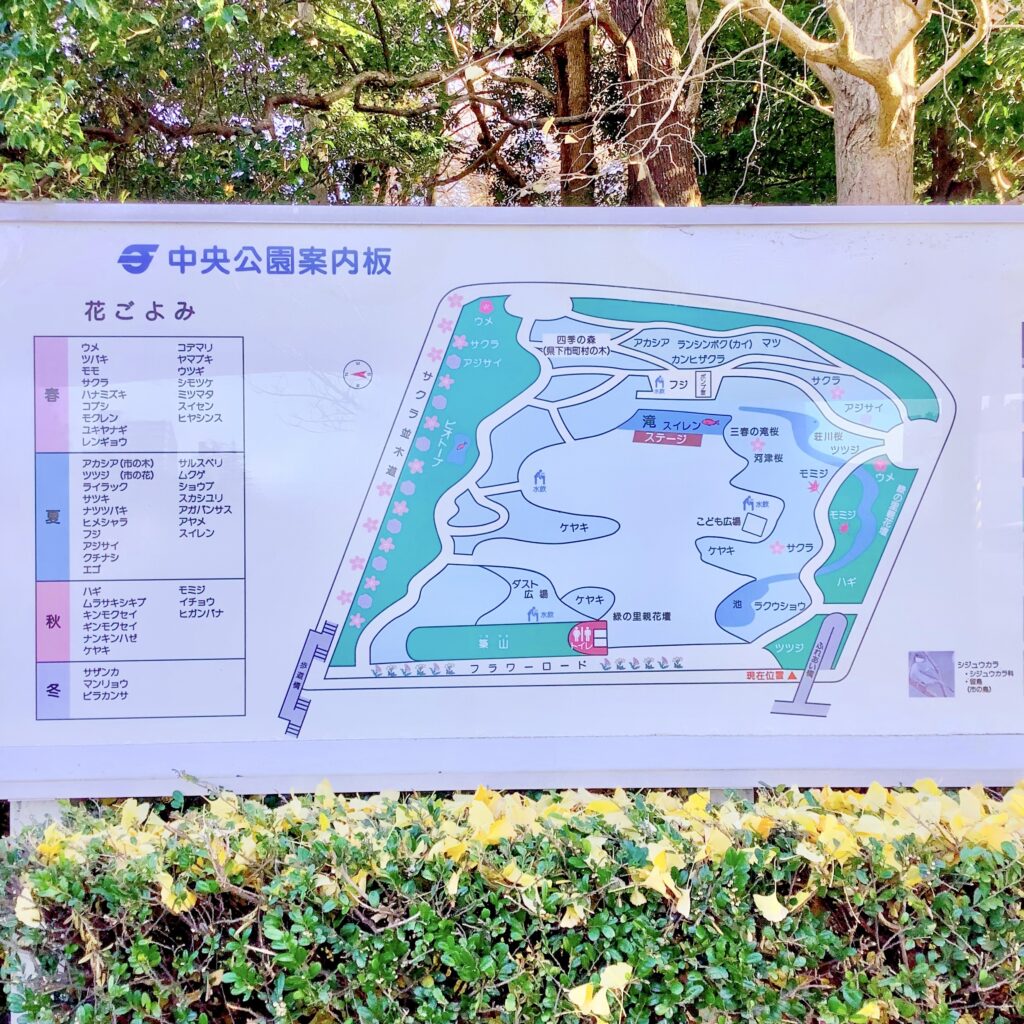 茅ヶ崎中央公園