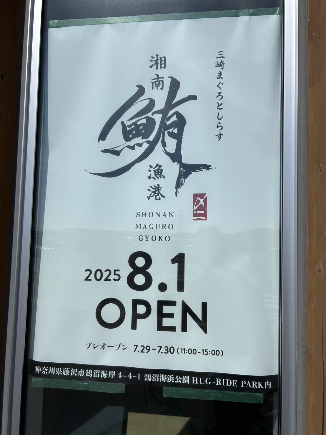 三崎まぐろとしらす 湘南鮪漁港